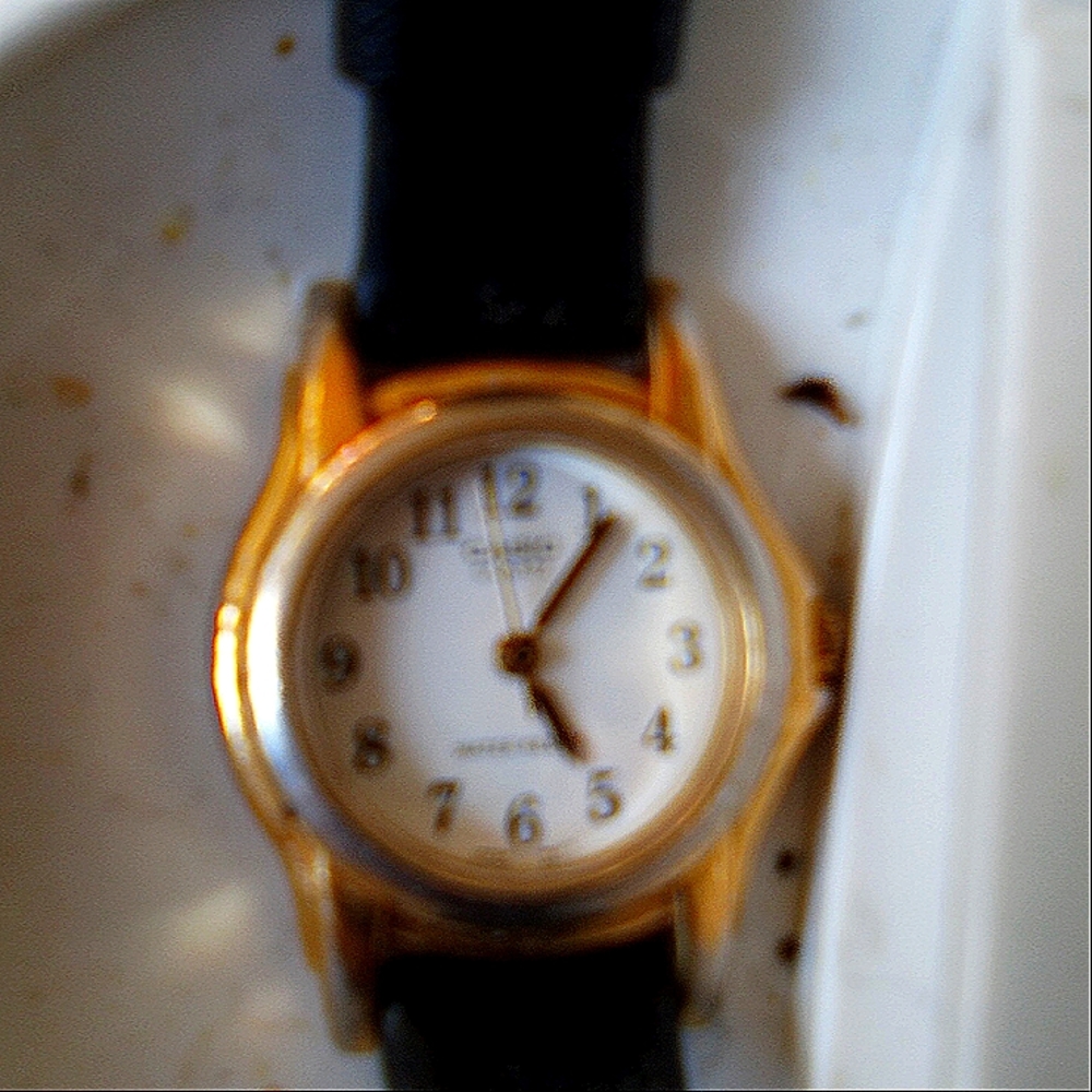 Casio watch